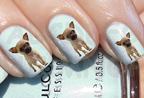 AWS set Water decals dog Chiwawa nail art stickers transfer (40)