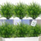 Dremisland Plantas Artificiales Arbusto de Hojas Artificiales 12 Helechos de Boston Resistentes A Los UV Plantas de Césped Artificial Arbustos para Interiores y Exteriores Hogar Decoración