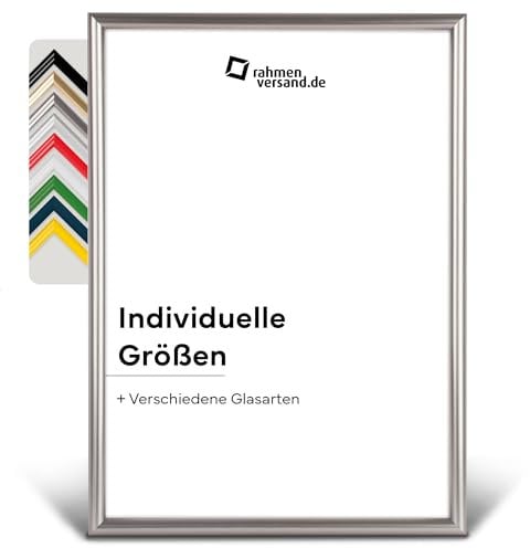 PANORAHMA BILDERRAHMEN Kunststoff Bilderrahmen 30 x 45 cm, Platin/Bilder Rahmen zum Aufhängen/Kunststoff Rahmen mit Echtglas