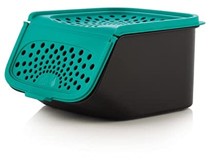 NEW TUPPERWARE Modulares Mates-Knoblauch-Aufbewahrung, 2,3 kg, Schwarz, Grün