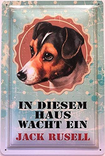 Blechschild 30 x 20 cm Hund Jack Russel - Deko7