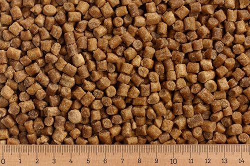 (Grundpreis 2,50 Euro/kg) - 25 kg Premium Koifutter Coarse 6,0 mm - Herbst/Winter - sinkend