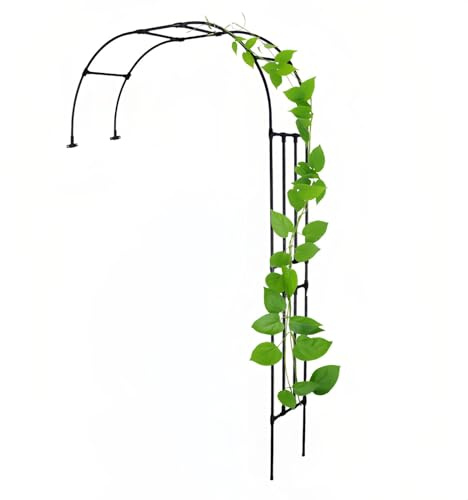 240cm Black Arched Rose Pergola, Weatherproof Gazebo for Indoor/Outdoor Decor, Half-Circular Arch, 280x240cm (9.1x7.8ft) - Perfect for Events and Weddings