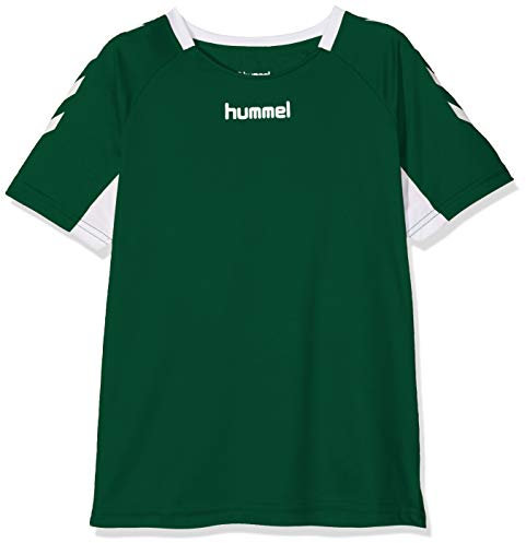Hummel Kinder CORE KIDS TEAM JERSEY S/S Trikot, Grün (Evergreen), Gr. 152