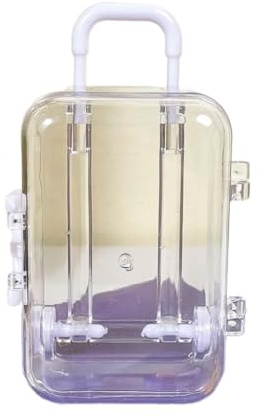 LERONO Puppenhaus Miniatur Gepäck Koffer Aufbewahrung Trolley Koffer Reise Urlaub Spielzeug Süßigkeiten Box Handtasche Modell für Puppen Zubehör