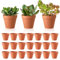 IXYHKB 24 PCS Pot en Terre Cuite, 3 x 3,5 cm Pot Terre Cuite, Mini Pot de Fleur Terre Cuite, Petit Pot de Fleur en Terre Cuite, Terre Cuite Mini Pots de Plante pour Intérieur Extérieur Succulentes