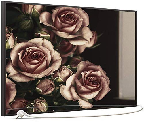 STEINFELD Heizsysteme® Glasheizung mit Bild Infrarot Heizung mit Thermostat | Made in Germany | viele Motive 350-1200 Watt Rahmen schwarz (600 Watt, 007 rosa Rosen)
