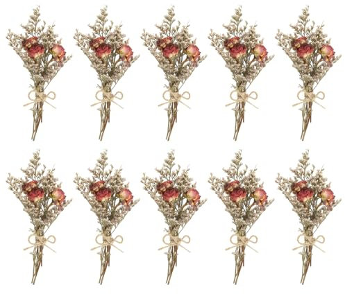 PATIKIL Mini Getrockneter Blumenstrauß, 10 Stück Rosen Natürliche Wildblumen mit Stiel Dekor Gipskraut Boho Blumen Pflanze Blume für Basteln DIY Foto, Dunkelrot