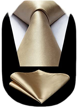 HISDERN Krawatte Farbe Champagner Business Krawatte mit Einstecktuch Hochzeit Party Krawatten Set für Männer Geschenke zum Valentinstag Herren krawatte taschentuch