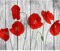 decomonkey - Papier Peint Panoramique Adhésif Fleurs Coquelicots 245x175 cm - Stickers Muraux Chambre Déco Autocollant - Gris marron rouge vert - Bois fleurs coquelicots nature plantes contexte