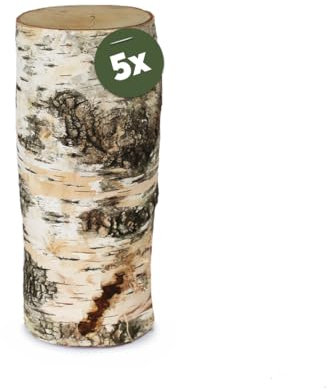 Birkenstamm Bastelholz Ø 10 x 25 cm als Holz-Deko und Bastelmaterial - 5 Stk. Birke Naturmaterial Holz-Stämmchen als große Holzstäbe - Stehende Birken-Stämmchen für Wohnung Garten Basteln
