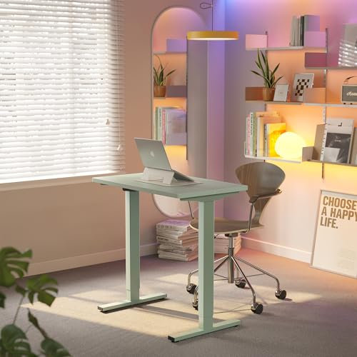 HUANUO 80 cm Electric Standing Desk Adjustable Height, 4 Memory Height Settings, Sit Stand Up Desk for Home Office & Computer Workstation,Green