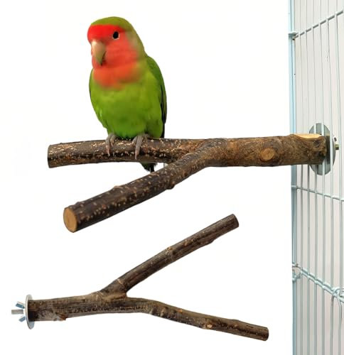Natur Sitzstangen Set, 2 Stück Stehend Vogelkäfig Zubehör, Sitzstangen für Vogelkäfige, Sitzstangen für Wellensittiche, Vogel Zubehör für Käfig, für Wellensittich Kanarienvogel