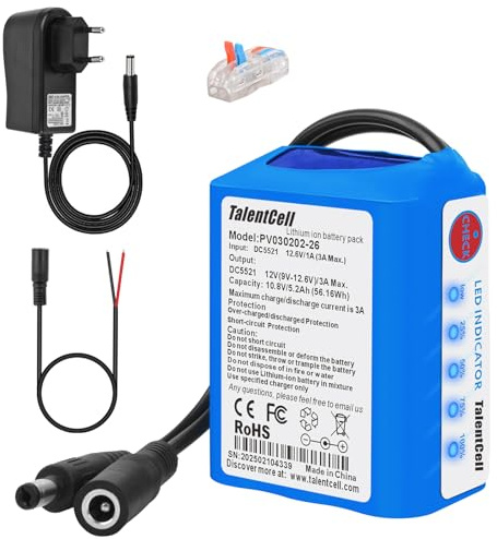 Talentcell 12V Lithium-Ionen-Akku mit Ladegerät, 5200mAh Akkus mit 12V Gleichstromausgang für Heimwerkerprojekte, Radio, Angelbeleuchtung, RC-Car, LED-Lichtleiste, CCTV-Kamera, Router und mehr