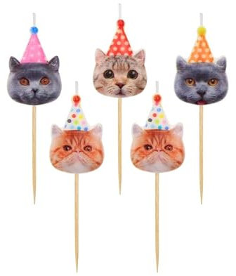 Gatti Party 5 candele compleanno