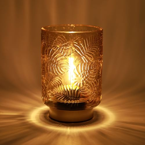 Veyera Battery Operated Table Lamp, Cordless LED Glass Lamps with LED Bulb
