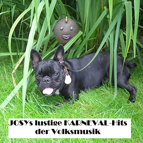 Das Stimmungs-Kaffee-Potpourri: Flieger Marsch / Zur Liebe gehört doch auch ein bißchen Musik / Wenn du eine Schwiegermutter hast / Da geht die Post ab / Grüez Sie wohl, Frau Stirniman