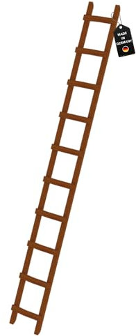 PROREGAL Dachleiter Holz | 10 Sprossen | Leiter, Teleskopleiter, Trittleiter, Bockleiter, Sprossen-Doppelleiter