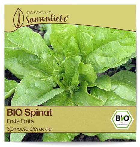 Samenliebe BIO Spinat Samen alte Sorte Erste Ernte Blattspinat Frühjahr und Winterspinat grün 5g samenfestes Gemüse Saatgut für Gewächshaus Freiland und Balkon BIO Gemüsesamen