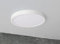 ChiliTec LED Deckenlampe Rund 24mm flach Leuchte für Wand Decke - 30cm 230V 2350 Lumen Aufbau Beleuchtung für Büro Flur Wohnzimmer Küche 4200k Neutralweiß
