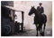 Displate Offiziell Peaky Blinders MetallPoster Magnetische Befestigung Inklusive Lizenziert Bilder Hochwertiges Poster Tommy on a horse Poster 45 cm x 32 cm