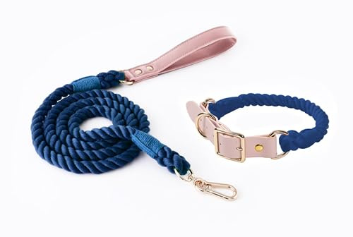 feiling Hundeleine mit Hundehalsband Set für Mittelgroße und Große Hunde Geflochten Hundeführleine Bunt 1.5m Tierleine Haustier Schauleine (S, blau)