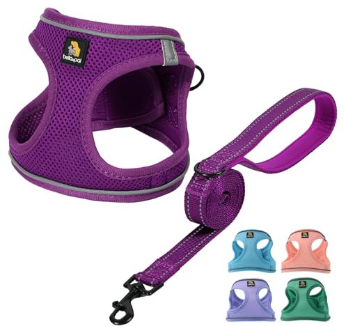 BELLA & PAL Hundegeschirr Kleine Hunde mit Leine, Step-in Geschirr aus Air Mesh, Anti Zug Reflektierend Atmungsaktiv Brustgeschirr, Welpengeschirr für Kleine Hunde, Katzengeschirr, Violett, L