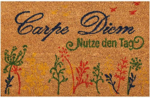 Bestgoodies braune Kokosfaser Fußmatte 40x60 cm (Carpe Diem), weitere Motive erhältlich