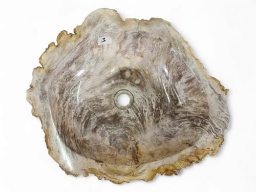 Lavabo de madera petrificada XXL – Lavabo de madera fósil – Lavabo de piedra natural con diferentes vetas y degradados de color (variante 3)