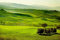 adrium Holz-Bild 120 x 80 cm: Landschaft, san quirico ´orcia, toskana, Italien(19427126)