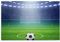 Football Green Stadium Lights Soccer, Jigsaw Puzzles 1000 Pieces Wooden Jigsaw Toy Family Game Wall Decor for Adults Teens