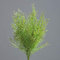 mucplants künstlicher Asparagus-Buschstecker ca. 35cm mit praktischen Steckstab Kunstpflanze für Ihr Zuhause