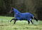 Horseware Outdoor-Decke für Pferde Rambo Optimo Turnout 0g