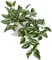 Oairse Artificial Trailing Plants in Ceramic Pots - Realistic Fake String of Tradescantia Zebrina for Indoor Outdoor Home Office Bathroom Kitchen Desk Decoration