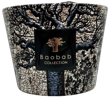 Baobab Collection Luxus Duftkerze Heilige Bäume Seguela | Holz - Zeder, Weihrauch, Eukalyptus | Handgeblasenes Opalglas, 4-7 Dochte, Made in EU (Max 10)