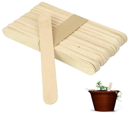 Pack of 100 Biodegradable Wooden Sticks – 11cm Wooden Plant Labels, Plant Markers for Indoor & Outdoor Plants, Garden Planters, Arts & Crafts, Popsicles, and More (100 Wooden Sticks)