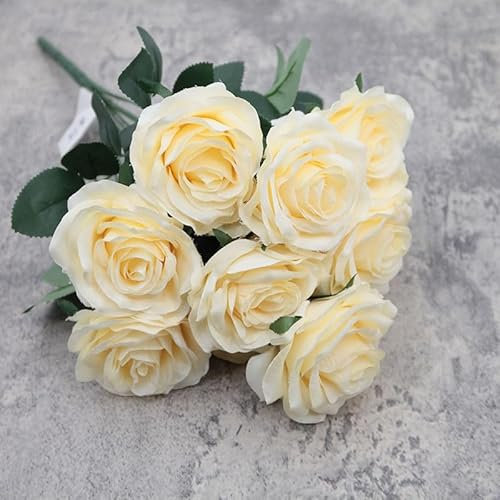 Namzi 10 Cream Rose Bushes 43cm Long. (Champagne Color)