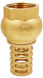 SEIWEI DN25, BSP-Innengewinde Messing Fußventil, Heavy Duty Einweg-Rückschlagventil mit Löchern Sieb Filter, Saug-Rückschlagventil für Wasserpumpen