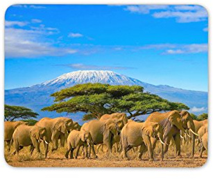 Wild Elephants Mouse Mat Pad Animals Africa Mum Computer PC #8146