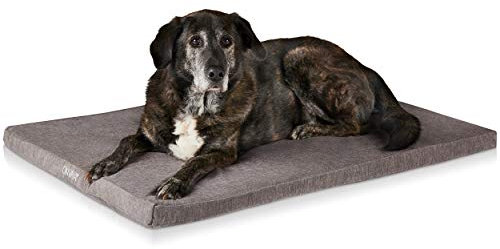 ONVAYA® Hundekissen aus Memory Foam | orthopädisch | 95 Grad waschbar | grau | Größe S-XXL | Hundebett | Hundematratze | Hundematte | Liegekissen (M (78 x 55 x 5 cm))