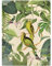 Bilderwelten Leinwandbild Vintage Collage Papageien im Dschungel 40 x 30cm Canvas