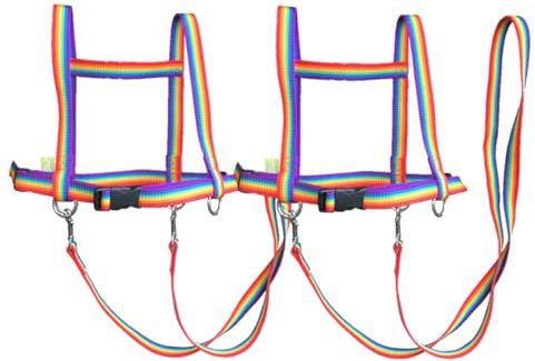 Jamso Design Doppel-Pferdespielleine Regenbogen für 3 Kinder Gespann Pferdeleine Pferdespiel Pferdegeschirr Reiter und Pferd