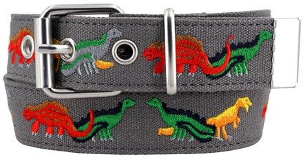 EANAGO Kinder Gürtel Jungen – Robuster Stoffgürtel mit Stickerei – Verstellbar 3–12 Jahre – Bequeme Schnalle – Hochwertiges Accessoire für Schule, Freizeit & Alltag