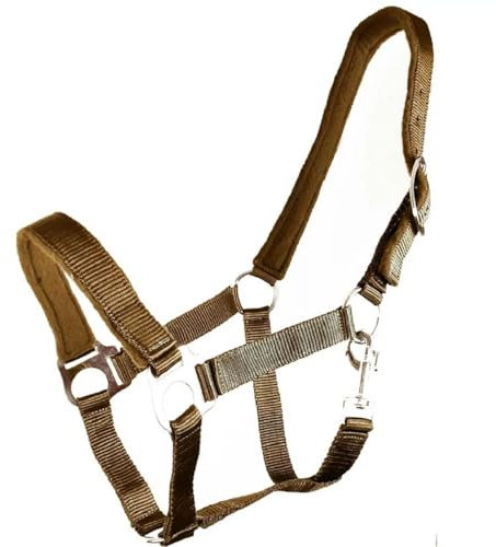 Brama West Halfter Pferd River - Stallhalfter Pferdehalfter - Einfach - Gepolstert (Braun, Shetty)