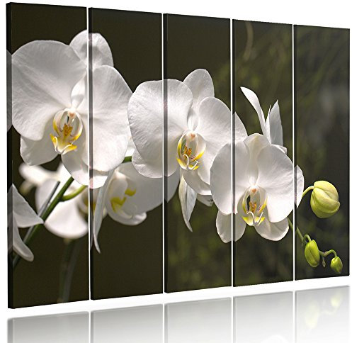 Feeby Frames Tableau déco orchidée Toile 5 parties noir et blanc 250x120 cm