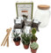 Kit Terrarium Fai da Te per Piante Grasse - I Giardini di Giulia - Completo di Vaso in Vetro, Tappo in sughero, Piante Succulente, accessori, substrati ed elementi decorativi - Facile da Assemblare
