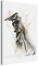 PICANOVA – Drift Two 60x40cm – Premium Leinwanddruck – Kunstdruck Auf 2cm Holz-Keilrahmen Für Schlaf- Und Wohnzimmer Von Galen Valle