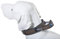 Armored Tech Dog Control Halsband mit integrierter Kurzleine (XL - Halsumfang 51-60 cm, Mocca)