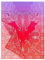 Roeckl Colour Shades 65x180 Schal, Flamingo, Standard