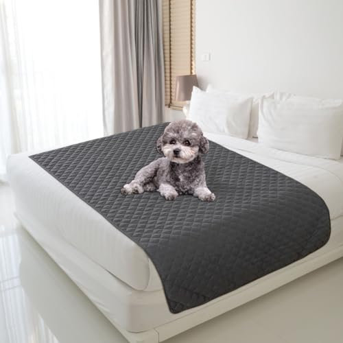 DASIAUTOEM wasserdichte Hundedecke, 180 x 75 cm Robuste Hundematte als Schutz für Sofa & Bett, rutschfeste Hundedecke auch für Große Hunde Geeignet in der Waschmaschine Waschbar (Grau)